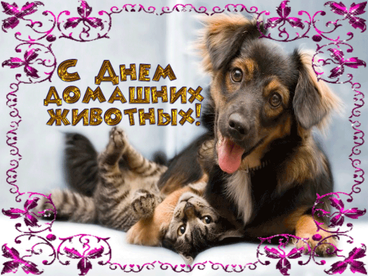 Картинки и открытки с Днем домашних животных. Всемирный день домашних животных - гифки и мерцающие картинки