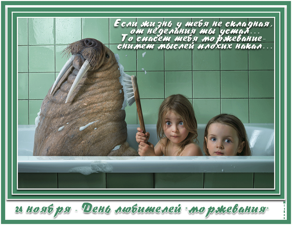 Картинки и открытки с Днем моржа. Гифки и мерцающие картинки с Днем моржа