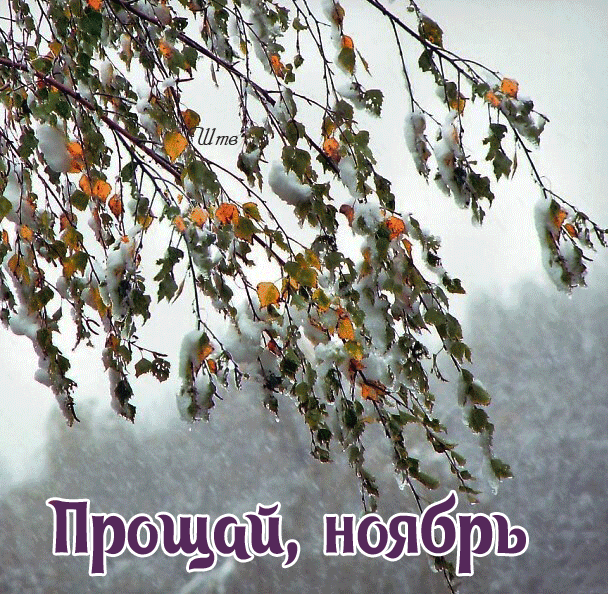 Картинки с последним днем осени. Последний день осени - гифки и мерцающие картинки