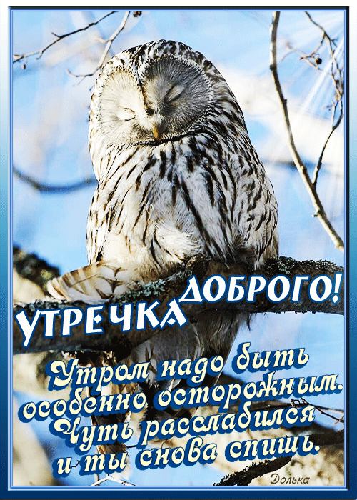 Зимние картинки Доброго утра и хорошего дня. Красивые гифки с Добрым утром и Хорошим днем