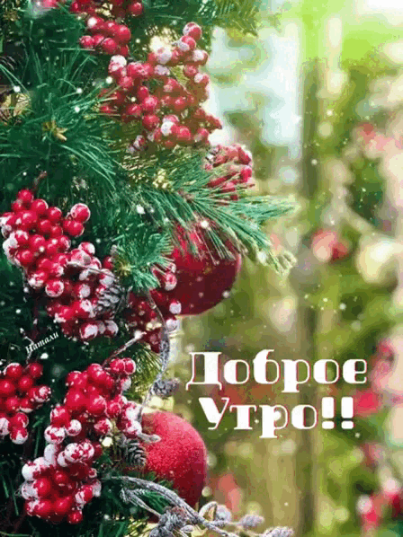 Гифки с Добрым зимним утром красивые и новые. Красивые гифки с Добрым зимним утром