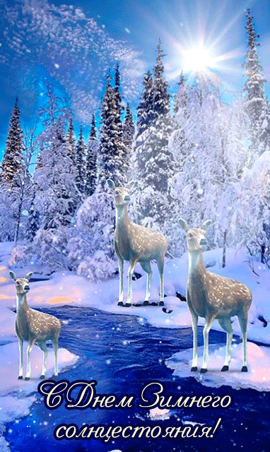 Картинки "День зимнего солнцестояния" . Гифки с Днем зимнего солнцестояния