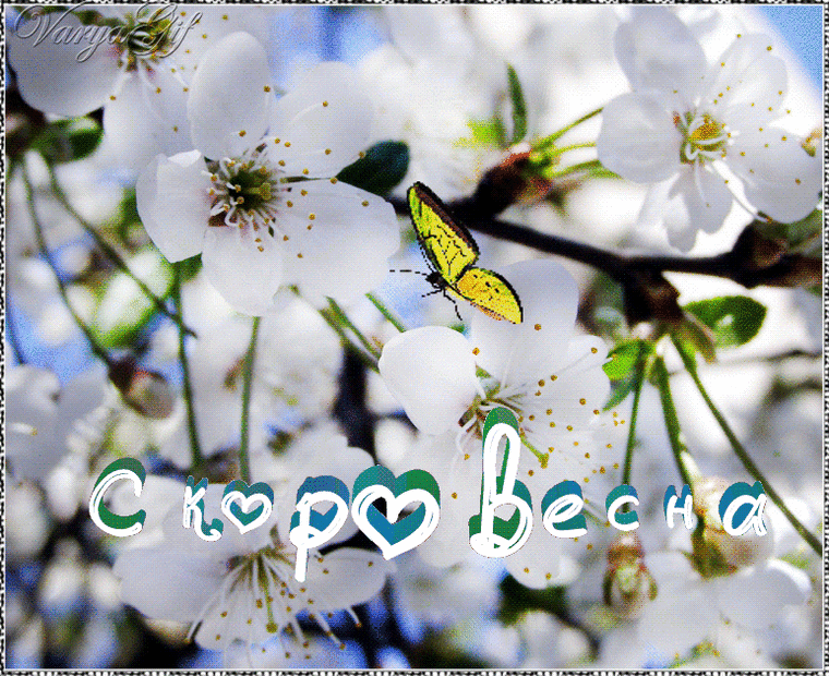 Картинки "Скоро весна" (80 штук). Красивые гифки "Скоро весна"