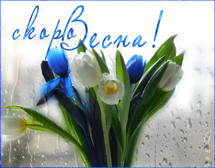 Картинки "Скоро весна" (80 штук). Красивые гифки "Скоро весна"
