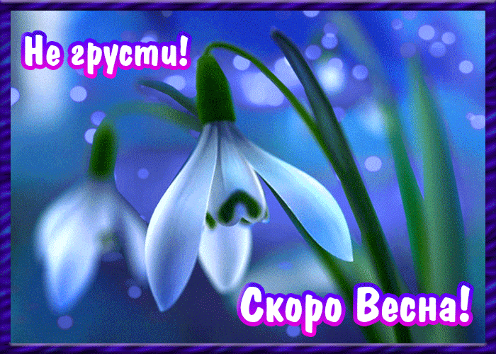 Картинки "Скоро весна" (80 штук). Красивые гифки "Скоро весна"