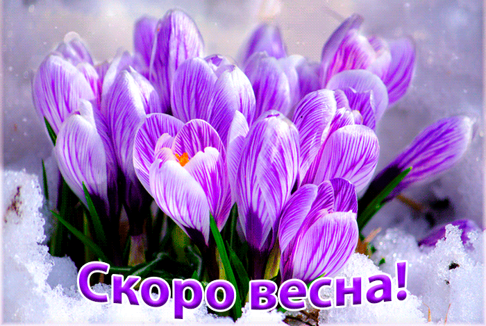 Картинки "Скоро весна" (80 штук). Красивые гифки "Скоро весна"