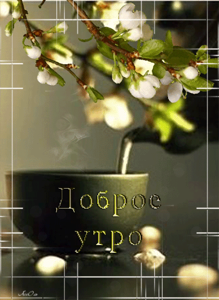 Красивые картинки с Добрым весенним утром. С Добрым весенним утром - картинки красивые