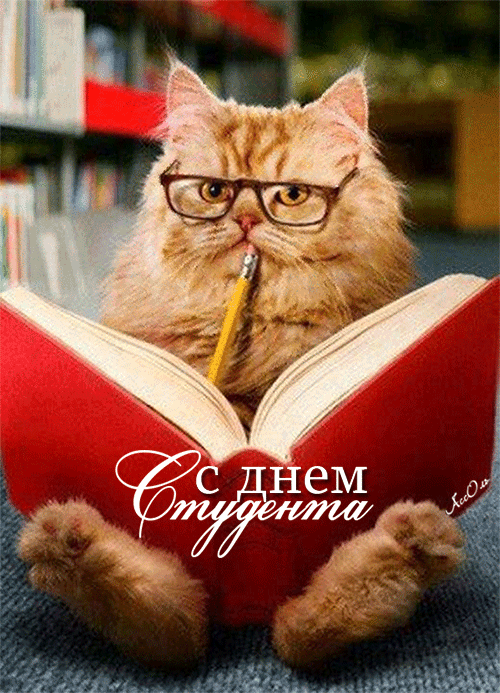 Прикольные Картинки с Днем Студента . Гифки с Днем студента (картинки анимированные)