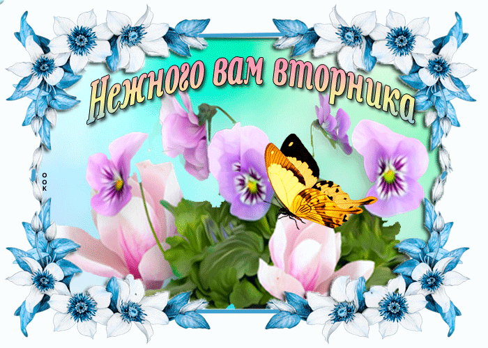 Картинки Доброе утро вторника. Гифки с Добрым утром вторника