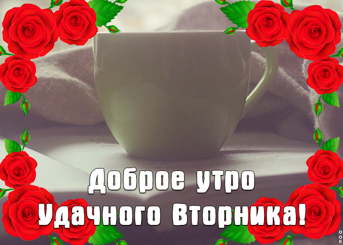Картинки Доброе утро вторника. Гифки с Добрым утром вторника