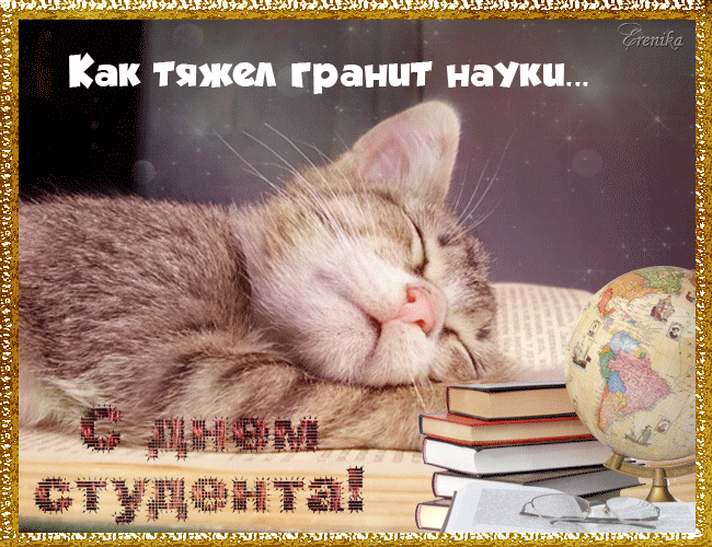 Прикольные Картинки с Днем Студента . Гифки с Днем студента (картинки анимированные)