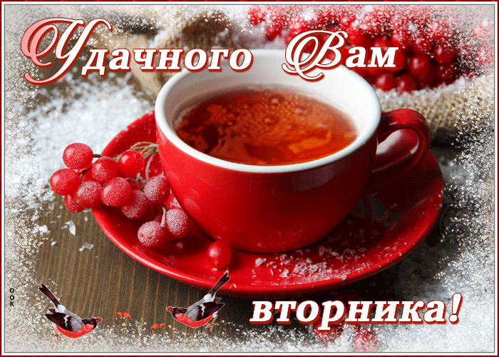Картинки Доброе утро вторника. Гифки с Добрым утром вторника