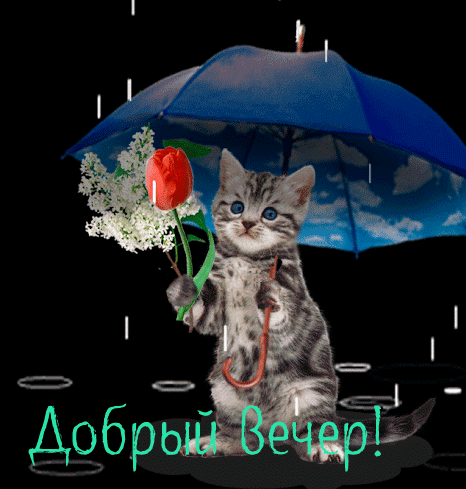 Красивые картинки Добрый вечер. Гифки Доброго вечера (картинки с анимацией)