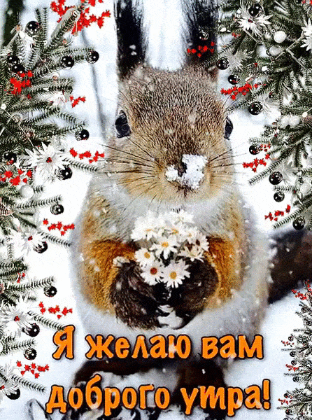 Прикольные и позитивные картинки Доброе утро. С Добрым утром - позитивные картинки с анимацией (гифки)