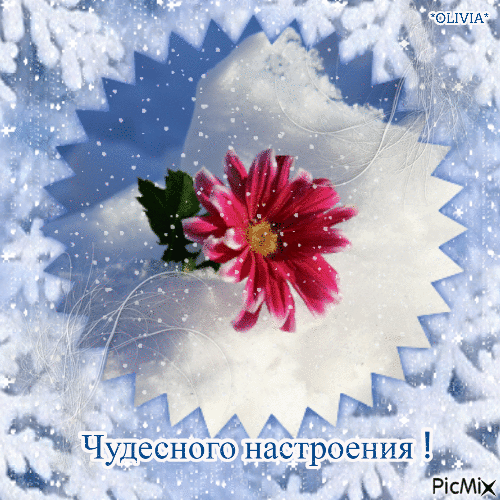 Картинки Хорошего настроения. Гифки хорошего настроения