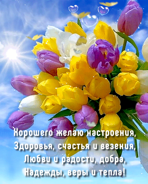 Картинки Хорошего настроения. Гифки хорошего настроения