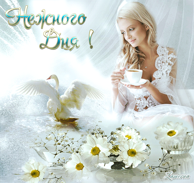 Красивые картинки с Днем нежности. Красивые гифки с Днем нежности