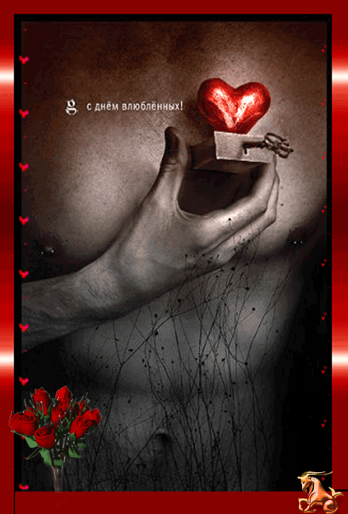 Прикольные картинки на 14 февраля . Прикольные гифки с 14 февраля