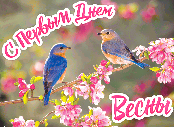Картинки с Первым днем весны. Гифки с Первым днем весны