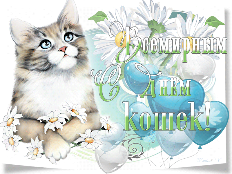 Прикольные картинки с Днем кошек . С Днем кошек - гифки