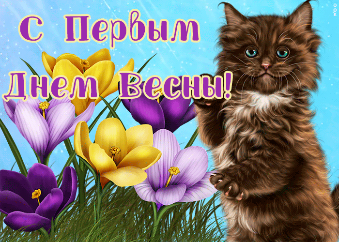 Картинки с Первым днем весны. Гифки с Первым днем весны