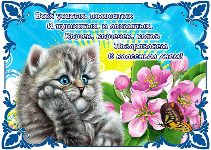 Прикольные картинки с Днем кошек . С Днем кошек - гифки