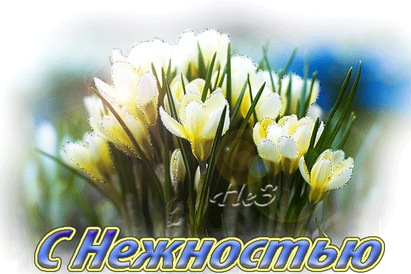 Красивые картинки с Днем нежности. Красивые гифки с Днем нежности