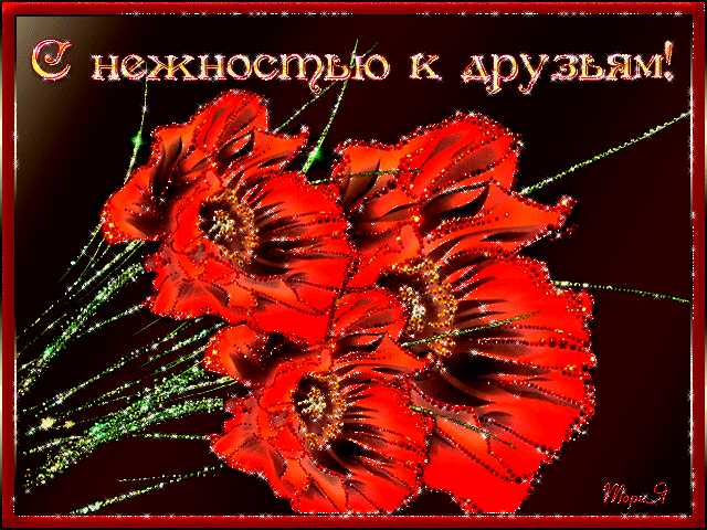 Красивые картинки с Днем нежности. Красивые гифки с Днем нежности