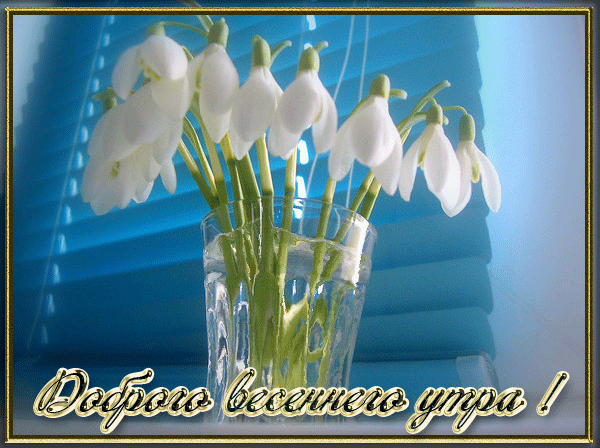 Красивые картинки с Добрым весенним утром. Красивые гиф-картинки Доброго весеннего утра