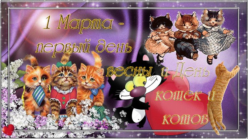 Прикольные картинки с Днем кошек . С Днем кошек - гифки