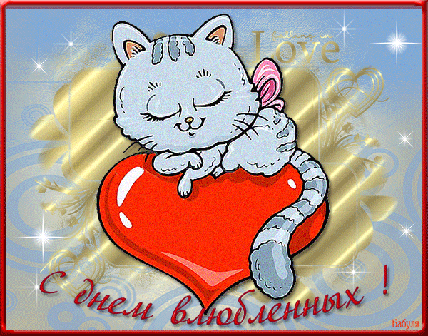 Прикольные картинки на 14 февраля . Прикольные гифки с 14 февраля