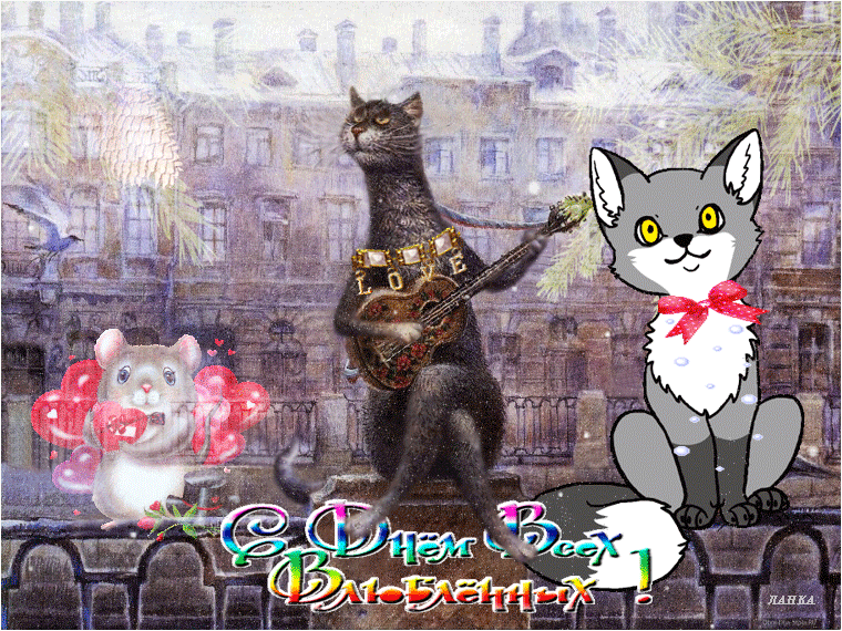 Прикольные картинки на 14 февраля . Прикольные гифки с 14 февраля