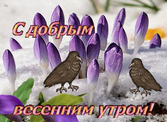Красивые картинки с Добрым весенним утром. Красивые гиф-картинки Доброго весеннего утра