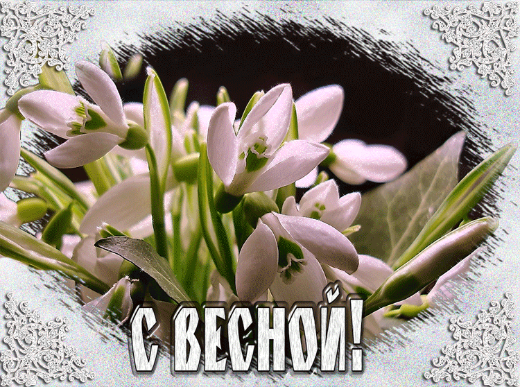 Картинки с Первым днем весны. Гифки с Первым днем весны