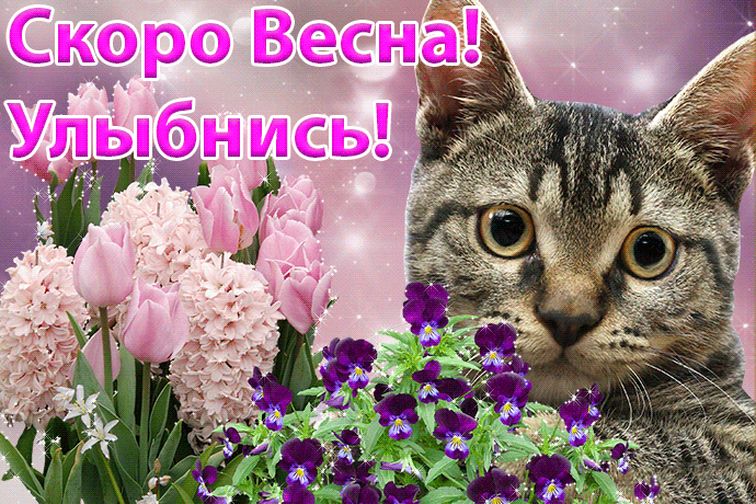 Скоро весна - картинки с пожеланями. Красивые гифки Скоро весна