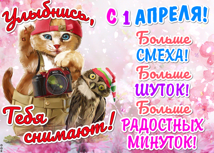 Картинки с 1 апреля прикольные и смешные. Прикольные гифки с 1 апреля