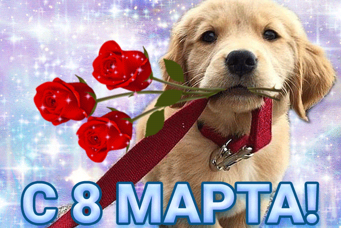 Красивые и прикольные гифки с 8 Марта. Красивые гифки с 8 марта