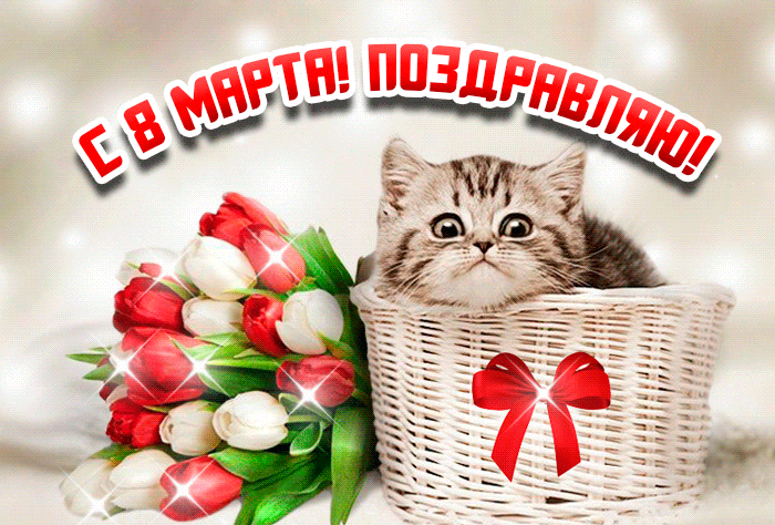 Красивые и прикольные гифки с 8 Марта. Красивые гифки с 8 марта