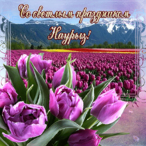 Красивые картинки с Наврузом. Красивые гифки на Навруз