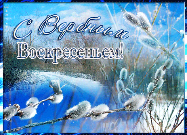 Прикольные картинки с Вербным Воскресеньем . Прикольные гифки с Вербным Воскресеньем