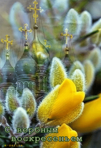 Гифки с Вербным Воскресеньем. Красивые гифки с Вербным воскресеньем