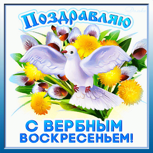 Прикольные картинки с Вербным Воскресеньем . Прикольные гифки с Вербным Воскресеньем