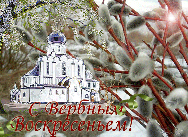 70+ открыток с Вербным Воскресеньем. Красивые гифки С Вербным Воскресеньем