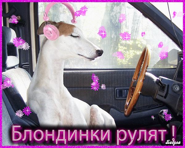 Открытки с Днем блондинок. Гифки с Днем блондинок
