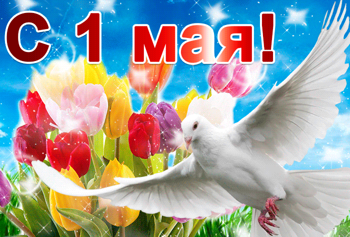 Красивые гифки с 1 мая. 1 Мая - гифки с поздравлениями
