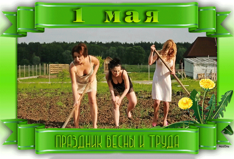 Красивые гифки с 1 мая. 1 Мая - гифки с поздравлениями