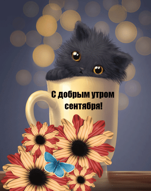 Картинки "Доброе утро сентября". Красивые картинки Доброе утро сентября