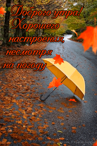Картинки с первым днем ноября. Гифки с первым днем ноября