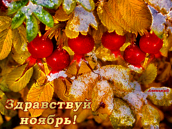 Картинки с первым днем ноября. Гифки с первым днем ноября