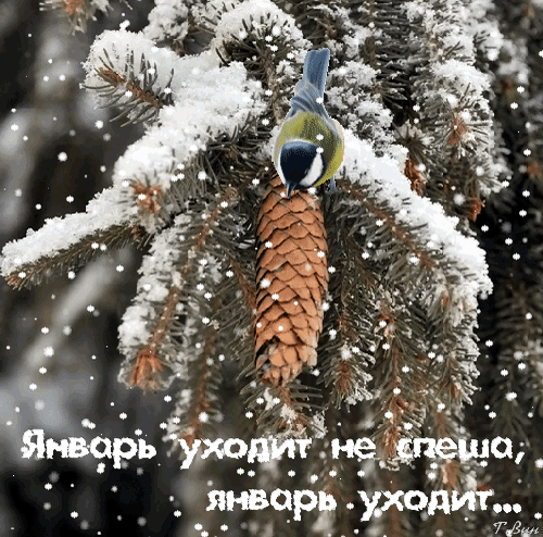 Красивые картинки Доброе утро февраля. Прикольные картинки Доброе утро февраля